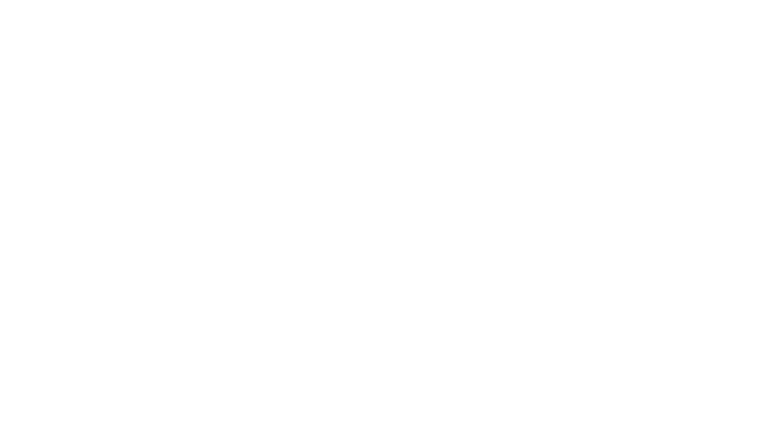 SERRVIKTURS 22025-1